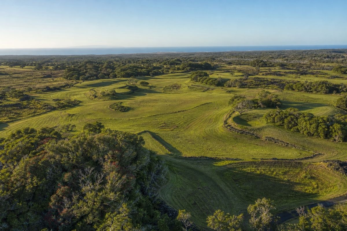 Aerial view of overgrown Mauka fairways with lava rock walls